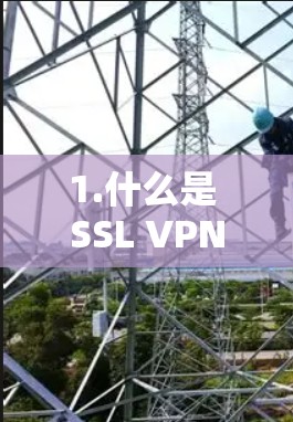 1.什么是 SSL VPN 地址？