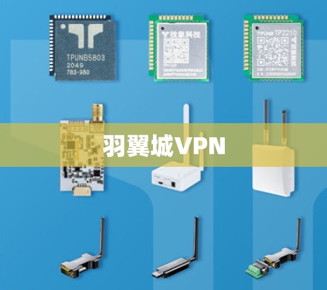 羽翼城VPN