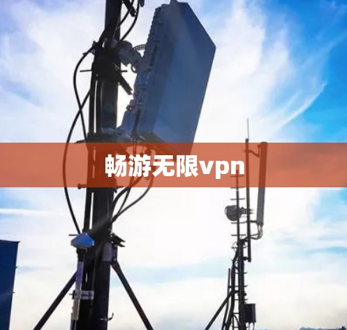 畅游无限vpn 畅游无限vpn