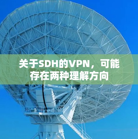 关于SDH的VPN，可能存在两种理解方向