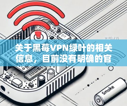 关于黑莓VPN绿叶的相关信息，目前没有明确的官方或广泛认可的软件或服务使用这一名称。以下是几种可能性及建议