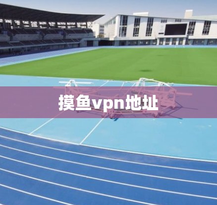 摸鱼vpn地址