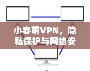 小春萌VPN，隐私保护与网络安全的新选择