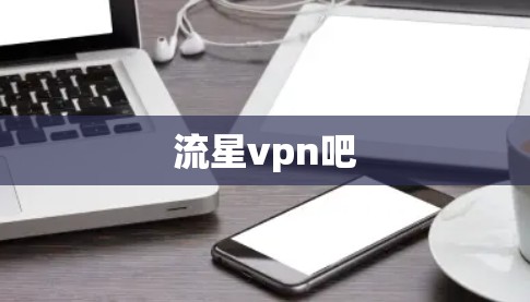 流星vpn吧