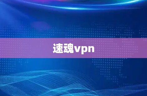 速魂vpn