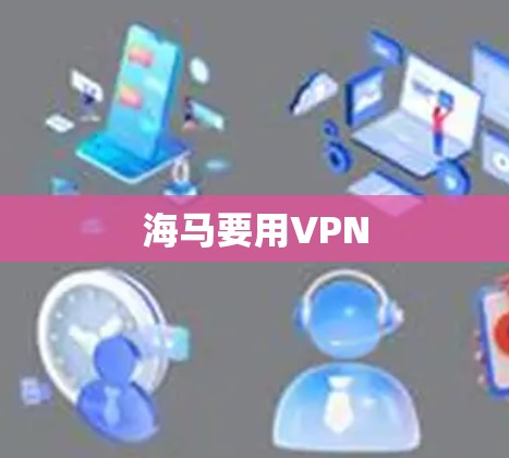 海马要用VPN