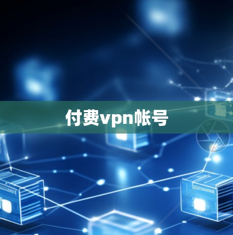 付费vpn帐号