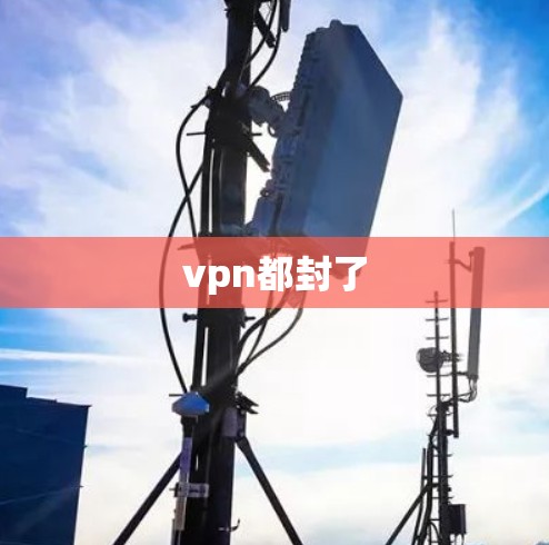 vpn都封了