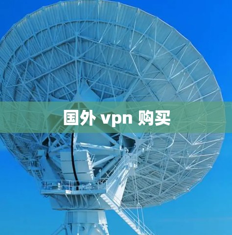 国外 vpn 购买