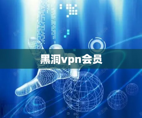 黑洞vpn会员