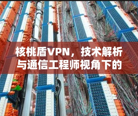 核桃盾VPN,技术解析与通信工程师视角下的安全评估 核桃盾VPN,技术解析与通信工程师视角下的安全评估