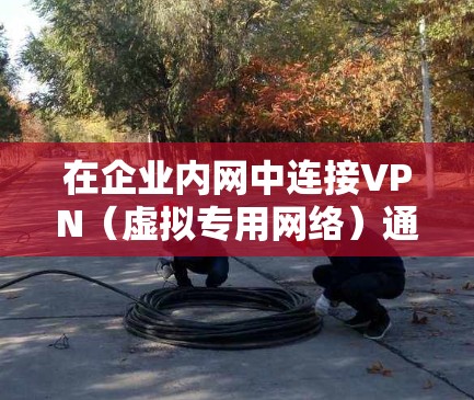 在企业内网中连接VPN(虚拟专用网络)通常是为了安全地访问外部资源或远程办公。以下是分步指南及注意事项