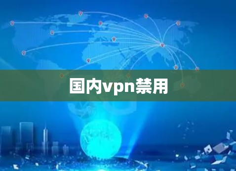 国内vpn禁用