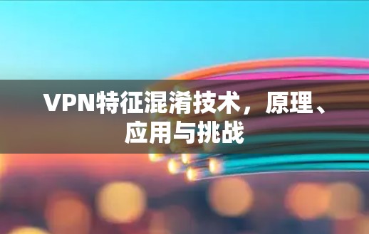 VPN特征混淆技术,原理、应用与挑战