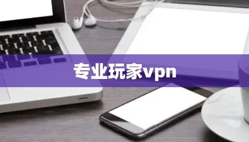 专业玩家vpn